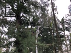 -北海市海滨公园