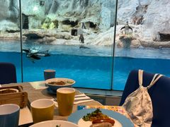 -帝企鹅自助餐厅•儿童岛•真企鹅(长隆企鹅酒店)