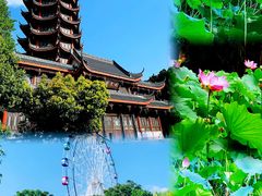 -塔子山公园