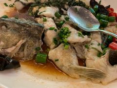 -陶缘一号·四季缘·老字号顺德菜·户外婚礼家宴(西滘店)