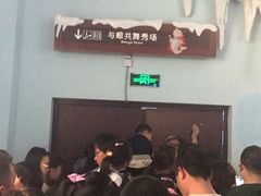 -芜湖新华联大白鲸海洋公园