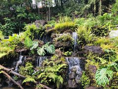 -深圳仙湖植物园
