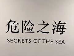 -王府半岛酒店