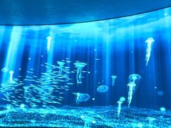 -唐宫足道·SPA·影院会馆(木渎店)