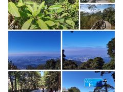 -梧桐山风景名胜区