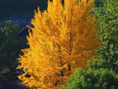 -沪东工人文化宫