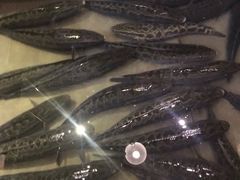 -丽江漁家斑鱼庄(黄岛店)