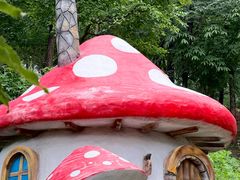 -沂蒙山旅游区云蒙景区(蒙山国家森林公园)