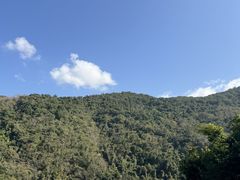 -霸王岭国家森林公园