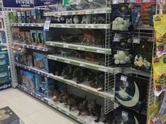 -TOYSRUS玩具反斗城(长沙德思勤店)