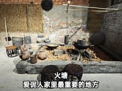 -西双版纳原始森林公园