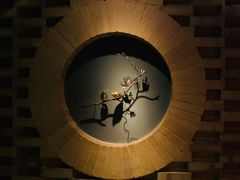 -Dragonfly悠庭·按摩Spa(新乐路店)
