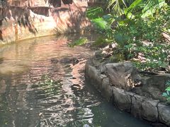 -长鹿旅游休博园