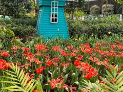 -南宫五洲植物乐园