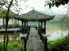 -老木棉·匠园