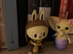 -泡泡玛特POPMART(合生汇店)