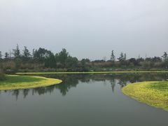 -桤木河湿地公园