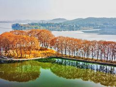-东湖磨山景区