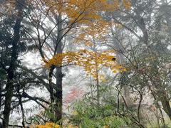 -龙苍沟森林公园