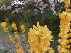-陕西省西安植物园