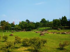 -白塘生态植物园