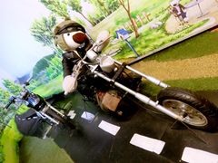 -济州岛泰迪熊博物馆