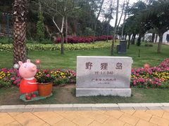 -野狸岛