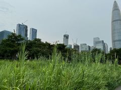 -深圳人才公园