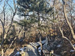 -帽儿山国家森林公园