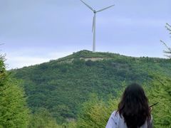 -东白山