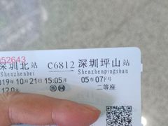 -深圳坪山站