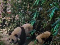 -武汉园博园(武汉自然博物馆)