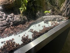 -顺德南宏海立方海洋公园