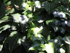 -炊烟餐厅