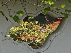 -水绘园