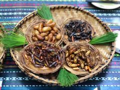 -昆虫窝子·特色云南菜(拓东路总店)