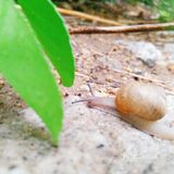 仔细观察还挺可爱的 感觉威海一下雨