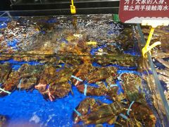-船歌·鱼水饺青岛菜(闽江二路店)
