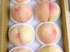 -老袁家蜜桃农场·阳山水蜜桃