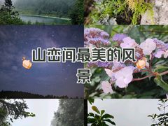 -武陵山森林公园