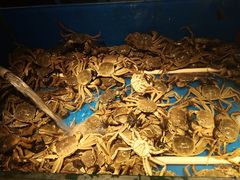 -星伦多自助料理·涮烤一体(虹悦城店)