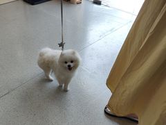 -宠颐生宠物医院·心肾内科·猫专科诊疗中心宠巢店