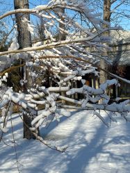 -禧园Joyous Garden ·宴会厅(禧园店)