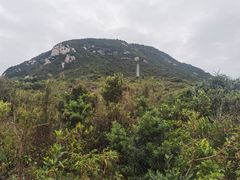 -杨梅坑