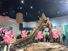 -衢州市博物馆