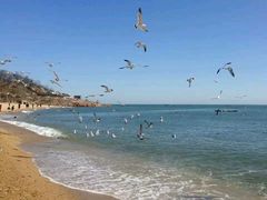 -星海湾跨海大桥