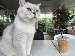 -小时光咖啡馆(北锣鼓巷店)