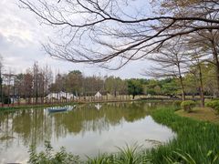 -森波拉奇妙世界