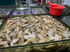 -华威西营里农产品批发市场