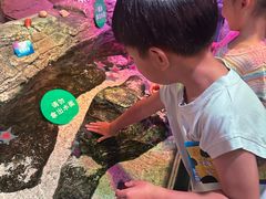 -沈阳海洋探索中心